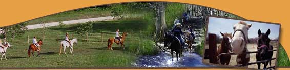Come Ride Our Horses at Smoky Mountain Riding Stables in Gatlinburg, Tennessee